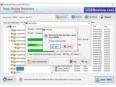 Pen Drive Data Recovery Software