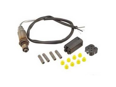 Oxygen Sensors